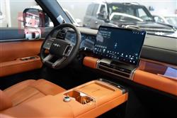 بي واي دي ليوبارد 7